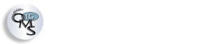 Lake Geneva Oral & Maxillofacial Surgery website logo and header